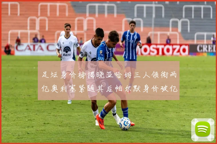 足坛身价榜揭晓亚哈姆三人领衔两亿奥利塞紧随其后帕尔默身价破亿