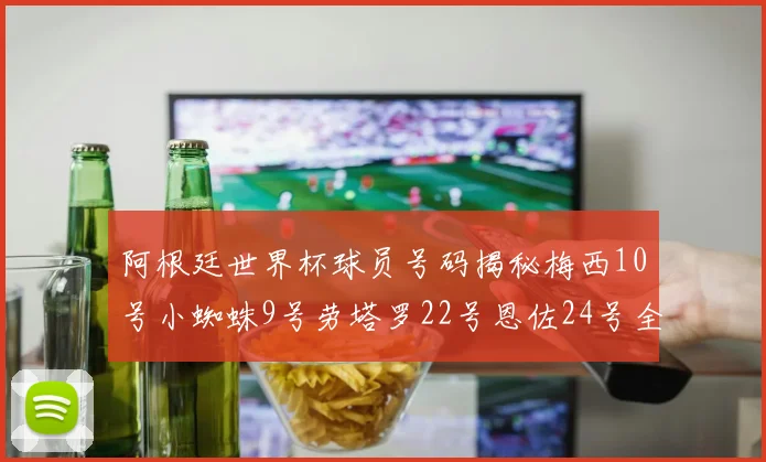 阿根廷世界杯球员号码揭秘梅西10号小蜘蛛9号劳塔罗22号恩佐24号全解析